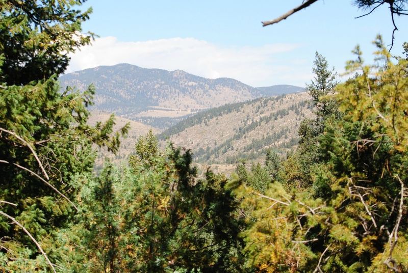 Hiking on Beaver Brook Trail – photo 9