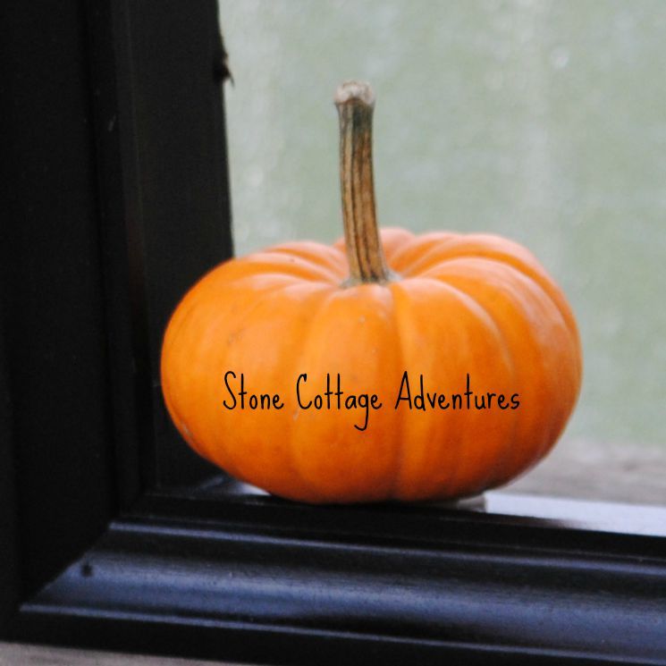 Is She Southern or Spooky? – photo 4