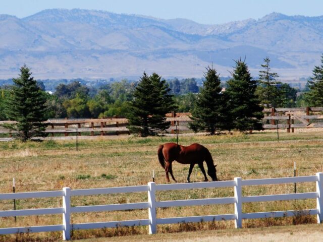 Pawnee Grassland