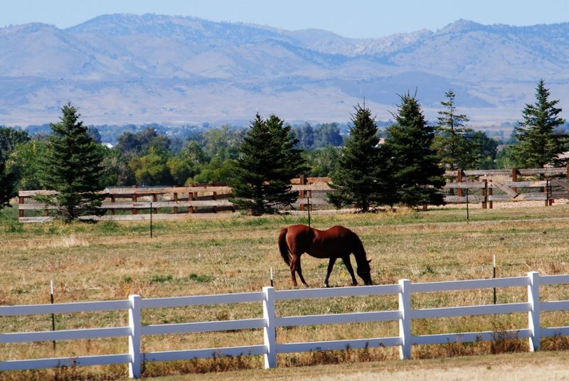 Pawnee Grassland – photo 1