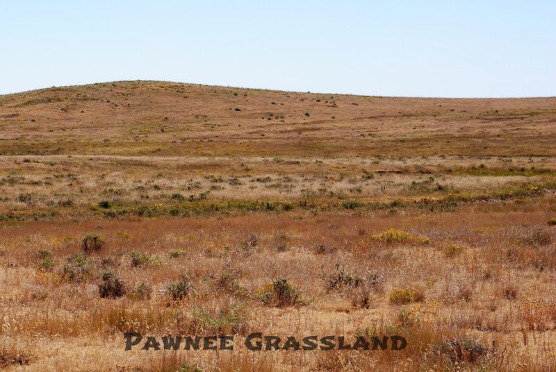 Pawnee Grassland – photo 3