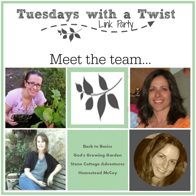 Get Your Links Ready!  It's Time For Tuesdays with a Twist Link Party! – photo 1