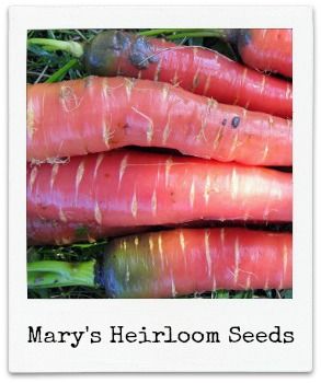 GARDENING GIVEAWAY!! – photo 4