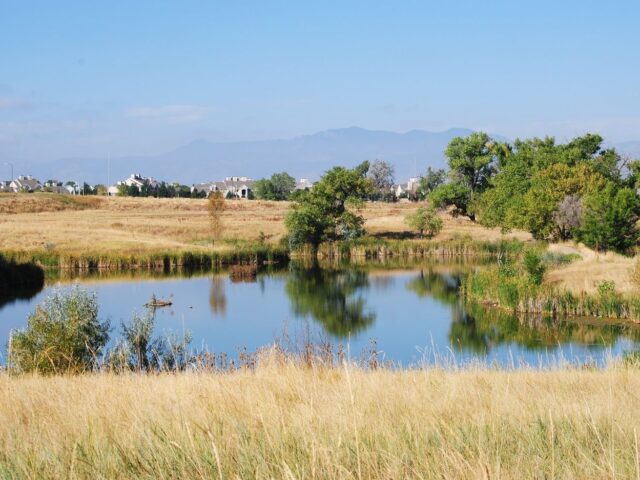 Hyland Ponds
