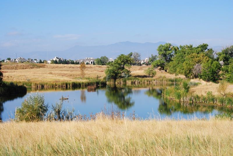 Hyland Ponds – photo 1