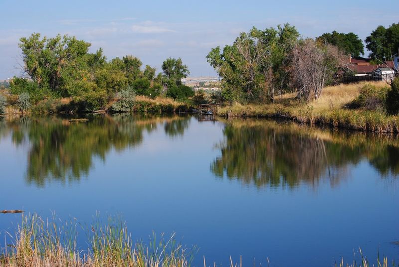 Hyland Ponds – photo 14