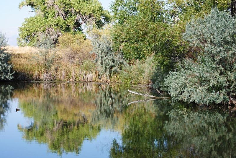 Hyland Ponds – photo 3