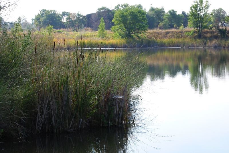 Hyland Ponds – photo 6