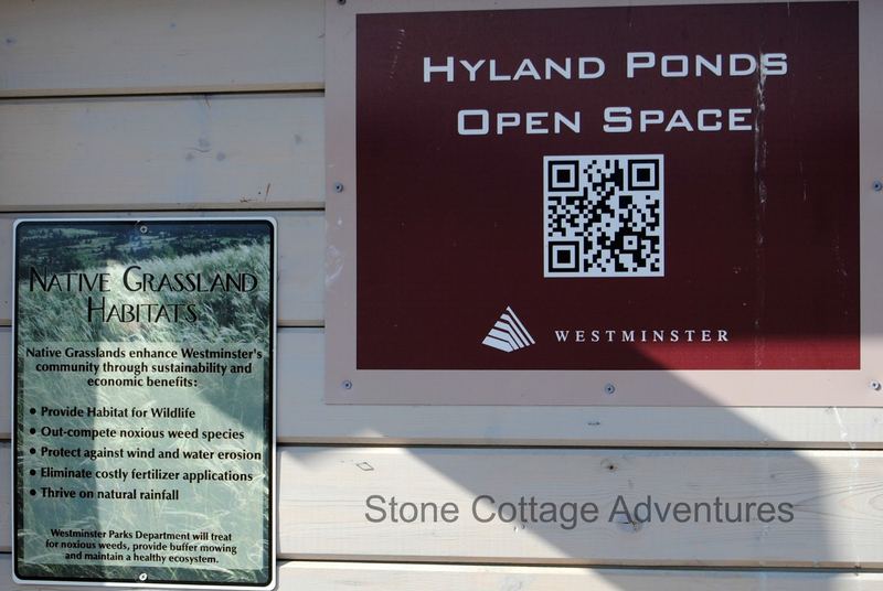 Hyland Ponds – photo 7