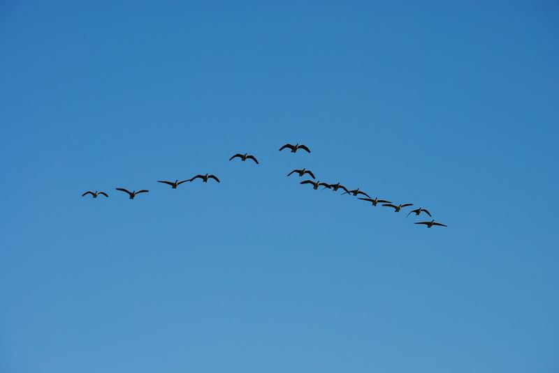 Hyland Ponds – photo 8
