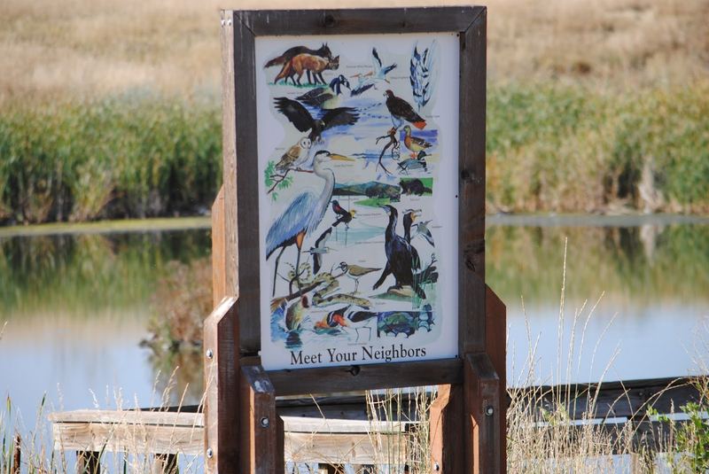 Hyland Ponds – photo 9