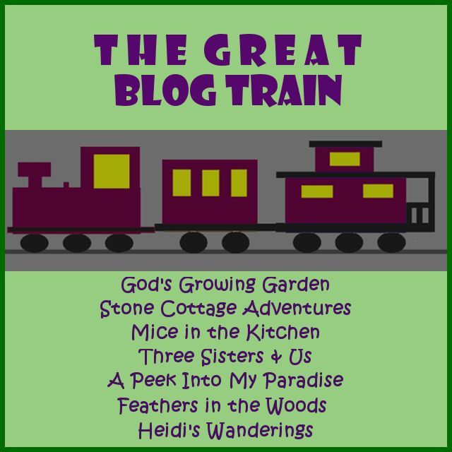 Retiring The Great Blog Train – photo 1