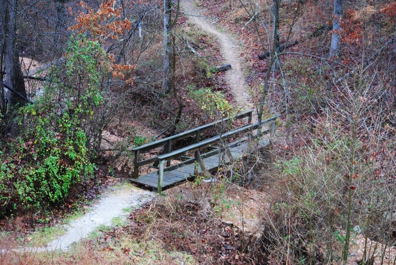 Step Challenge with my Workout Buddies at Hobbs State Park – photo 6