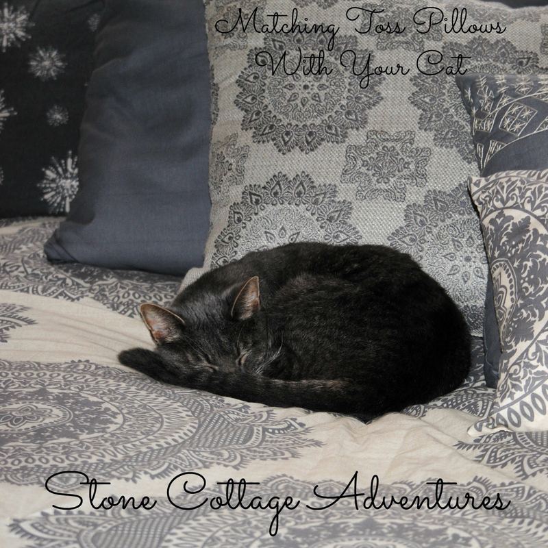 Silent Sunday, Matching Toss Pillows – photo 1