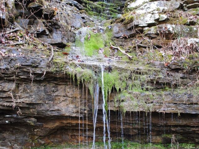 Last Winter Hike – Excited for Spring