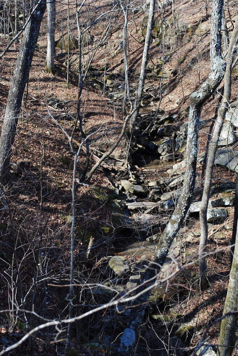 Last Winter Hike - Excited for Spring – photo 5