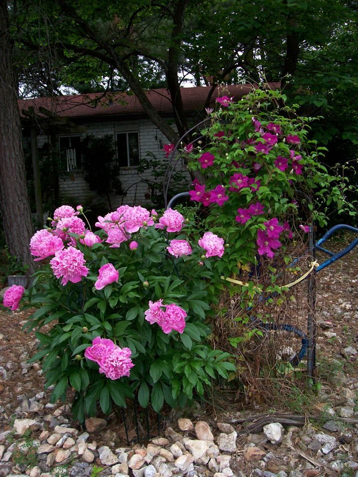 Nature Photo Challenge {Beverly} – photo 7