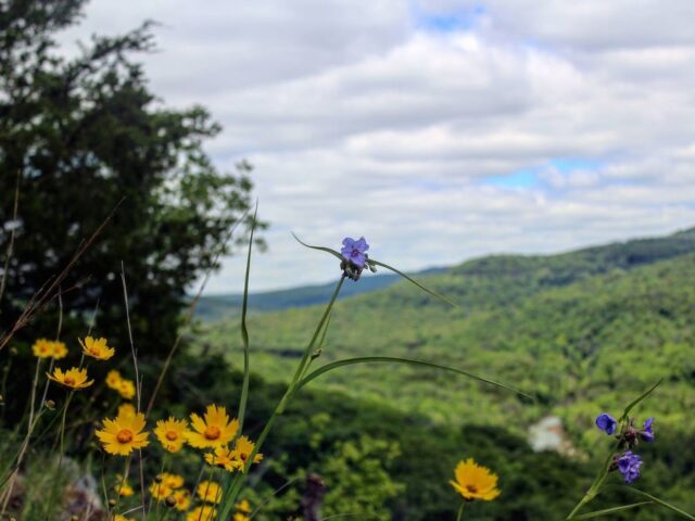 Nature Photo Challenge {Maggie}