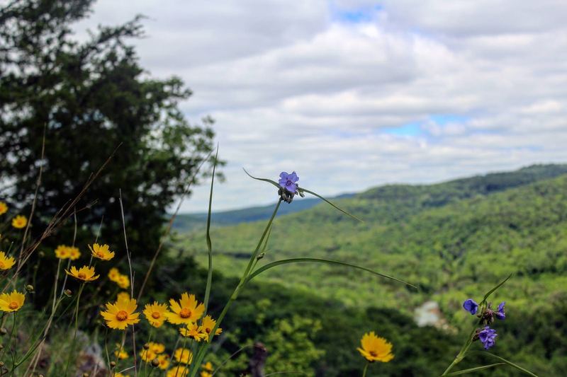 Nature Photo Challenge {Maggie} – photo 1
