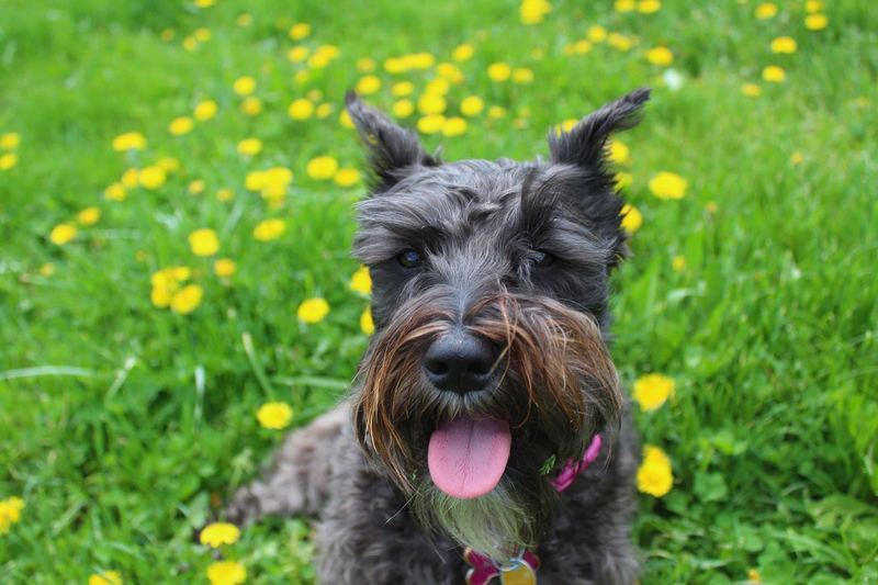 Nature Photo Challenge {Maggie} – photo 3