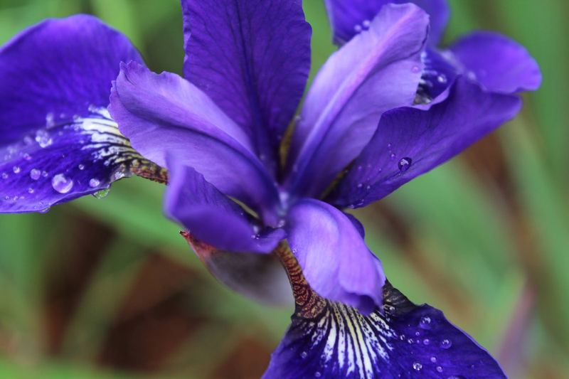 Nature Photo Challenge {Maggie} – photo 7