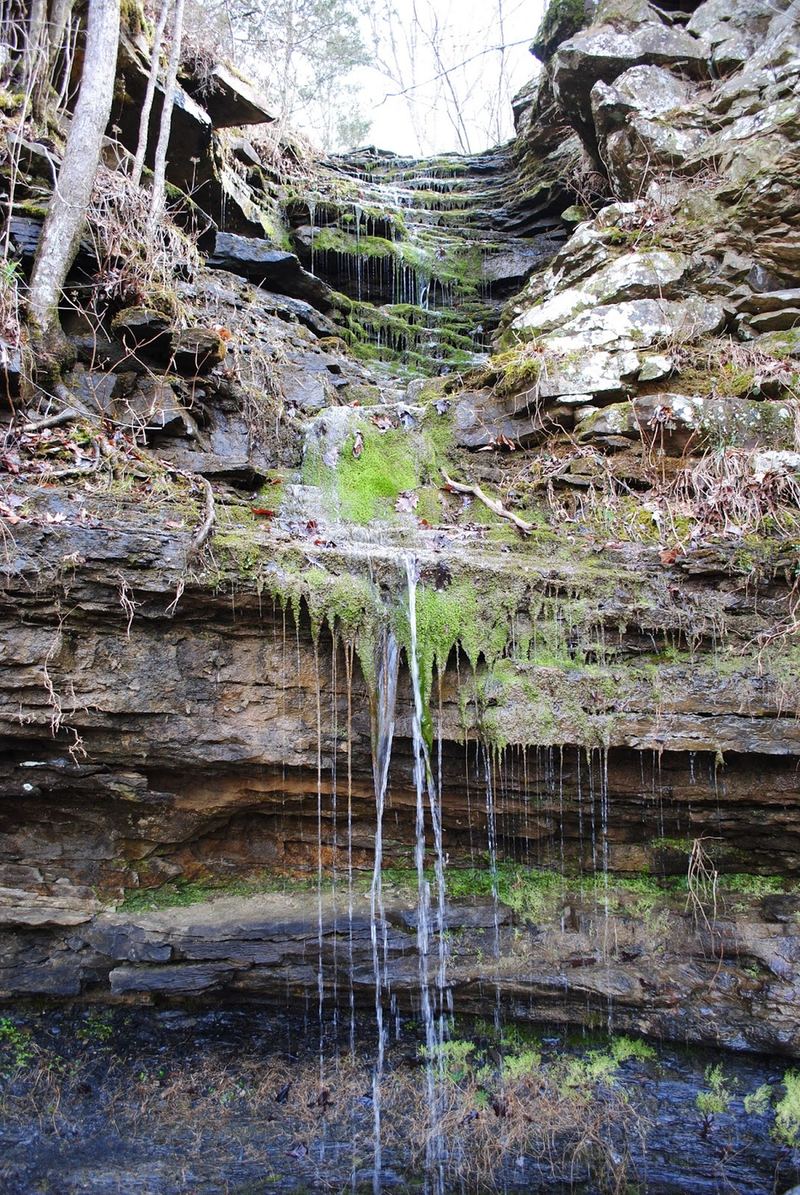 Photo Challenge {Mine} – photo 1