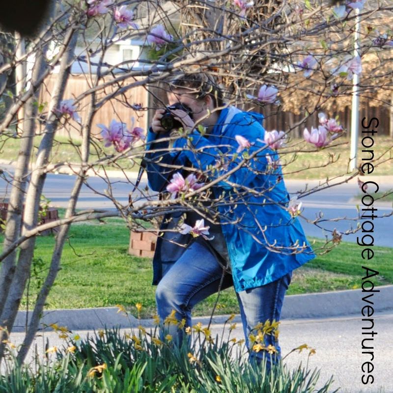 Photo Challenge {Mine} – photo 2