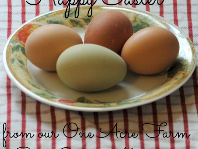 Sending Heartfelt Wishes for a Blessed Easter