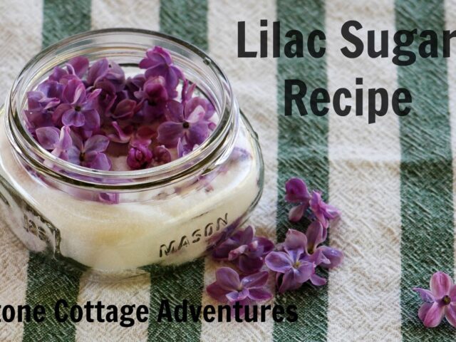 Lilac Sugar Recipe and the Earth Day Blog Hop