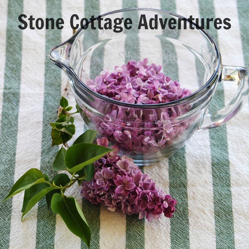 Lilac Sugar Recipe and the Earth Day Blog Hop – photo 3