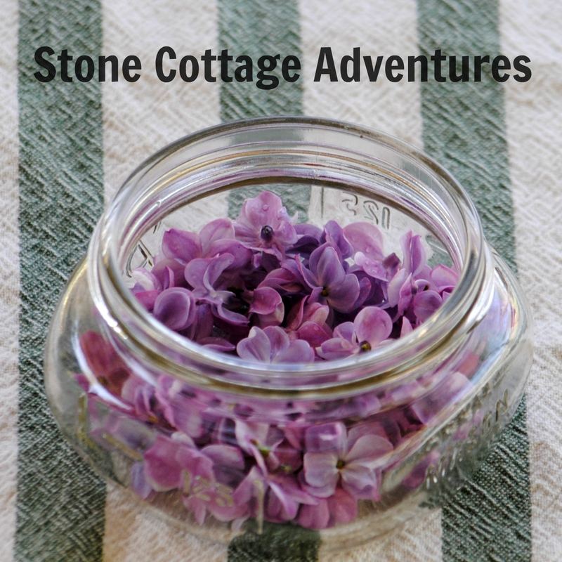 Lilac Sugar Recipe and the Earth Day Blog Hop – photo 4