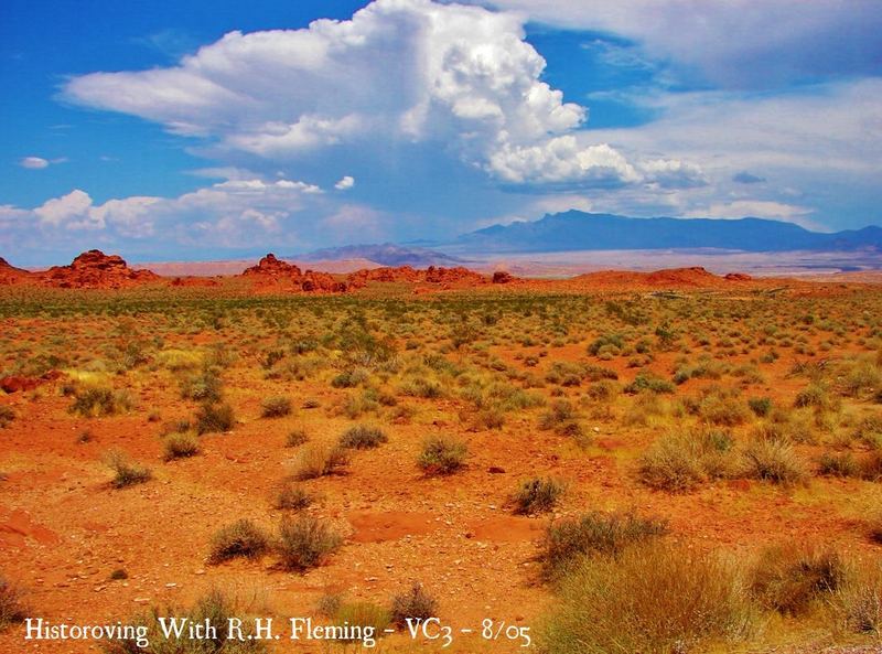 Nature Photo Challenge {Robert} – photo 3