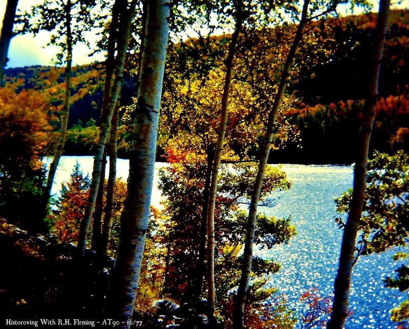 Nature Photo Challenge {Robert} – photo 5