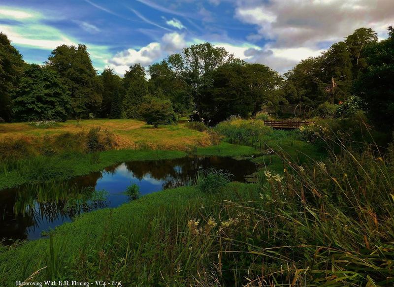 Nature Photo Challenge {Robert} – photo 6