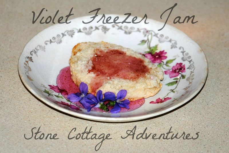 Violet Freezer Jam - A Lovely Treat for Spring – photo 2