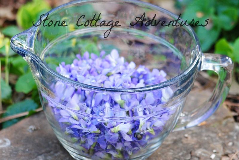 Violet Freezer Jam - A Lovely Treat for Spring – photo 5