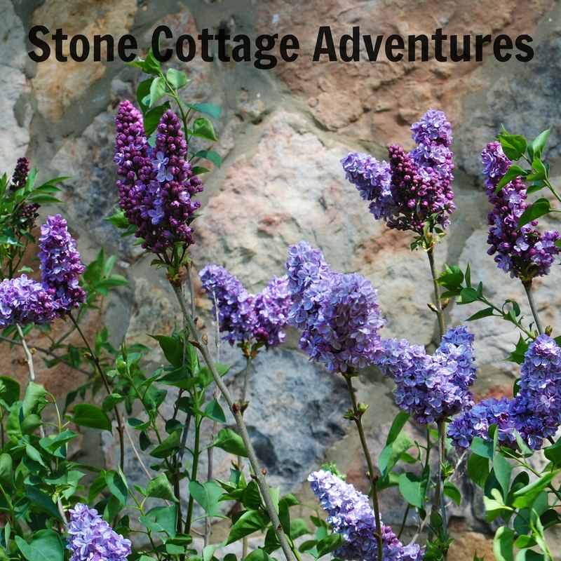 A Lilac Bouquet for May Day – photo 2