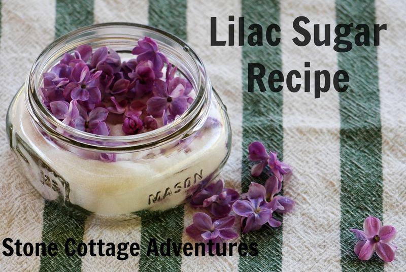 A Lilac Bouquet for May Day β photo 4