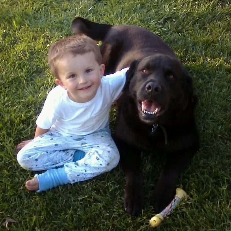 Pet Photo Challenge – photo 4