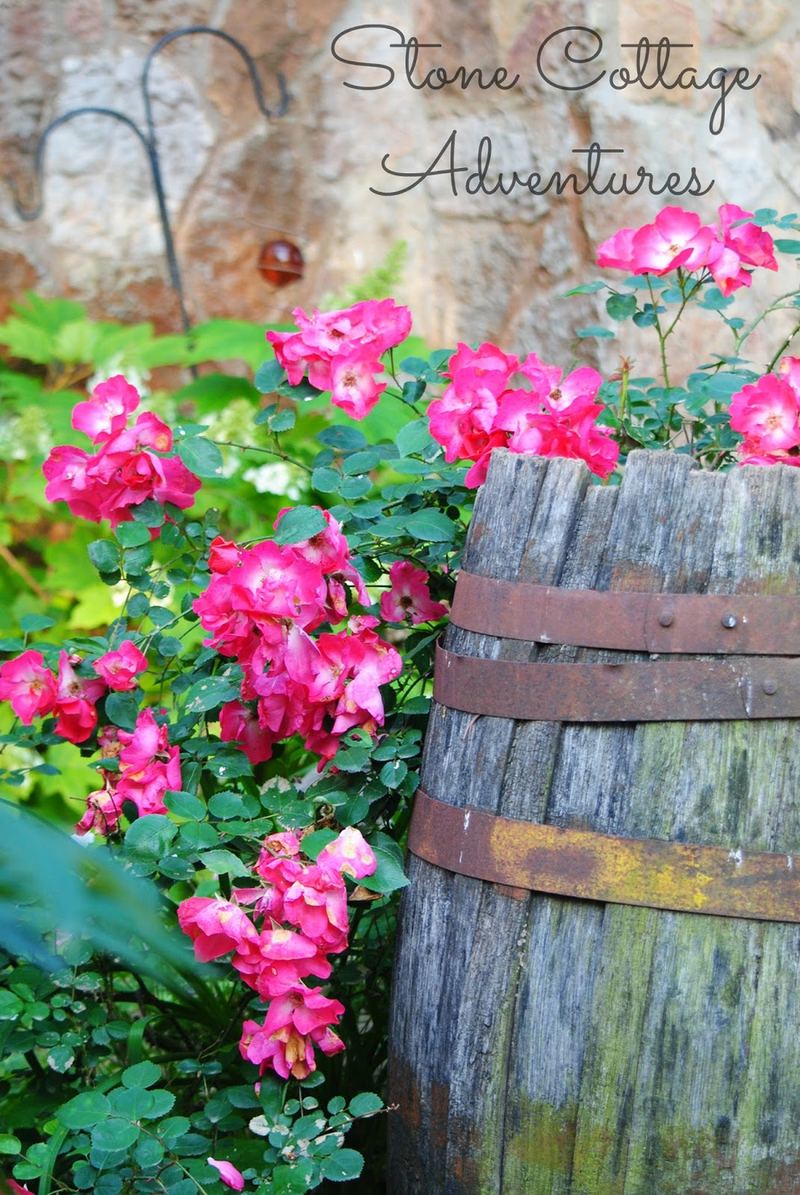 A Little Stroll Thru My Garden – photo 2