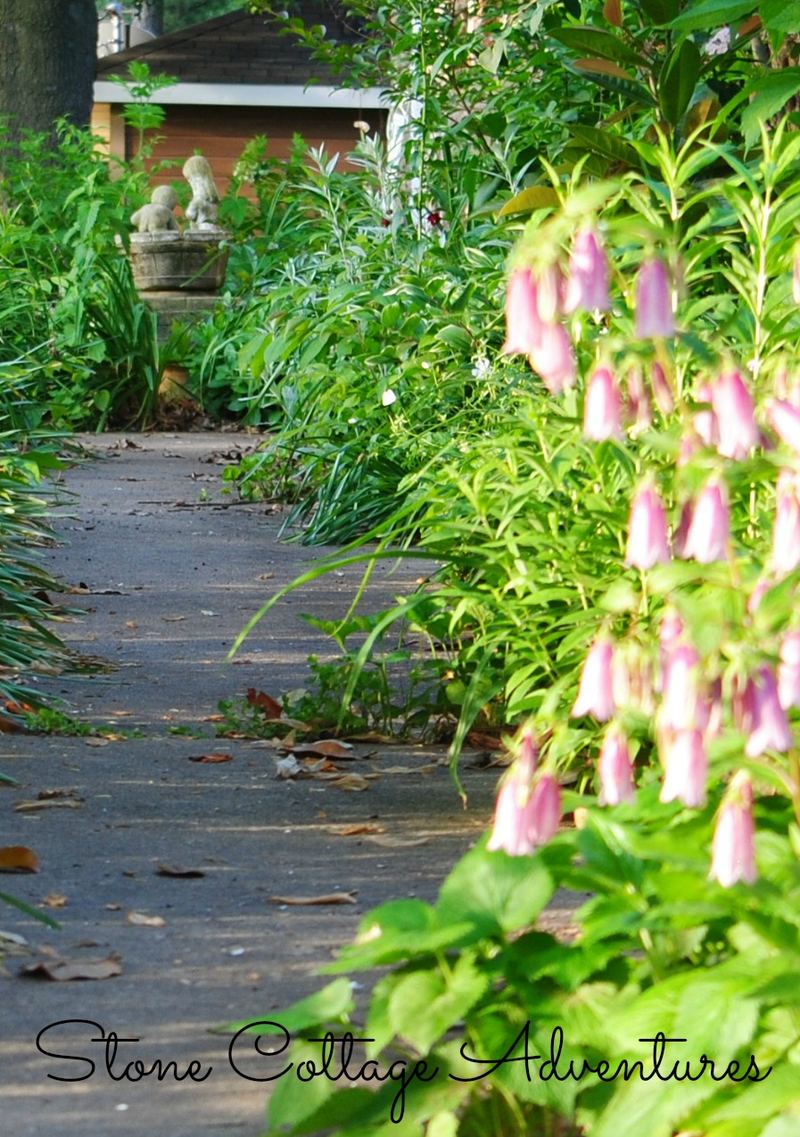 A Little Stroll Thru My Garden – photo 8