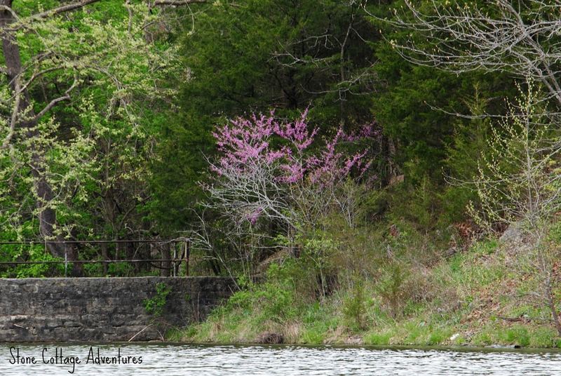 Black Bass Lake – photo 10