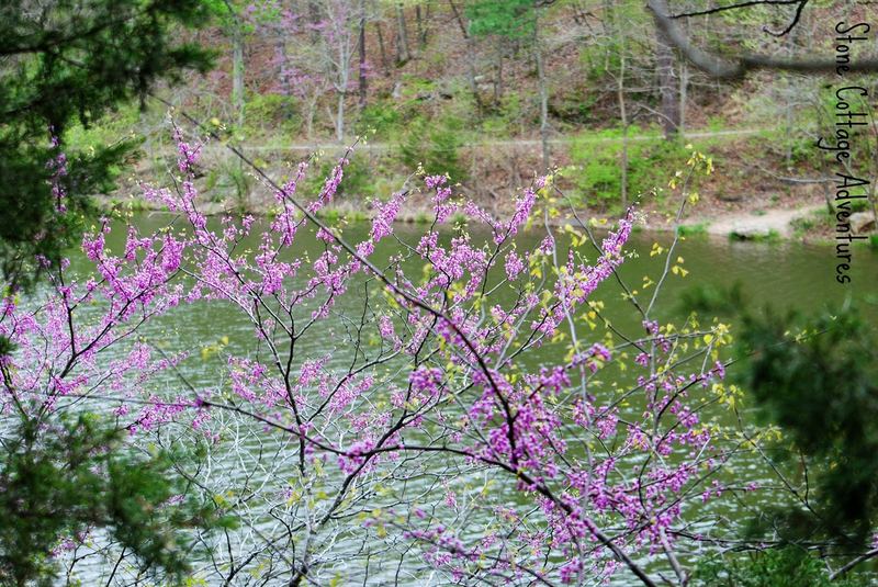 Black Bass Lake – photo 2