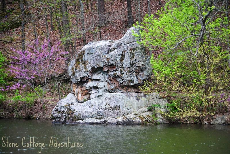 Black Bass Lake – photo 3