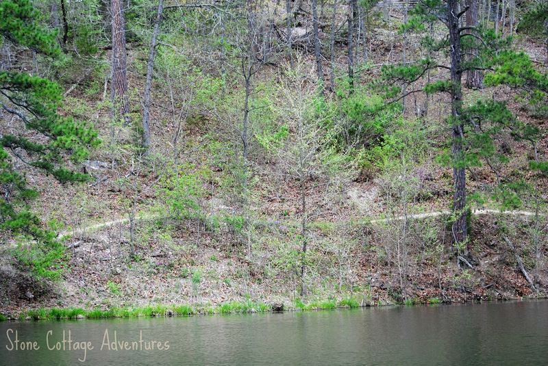 Black Bass Lake – photo 4