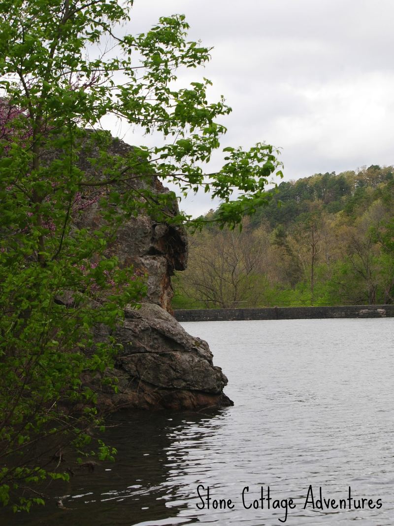 Black Bass Lake – photo 6