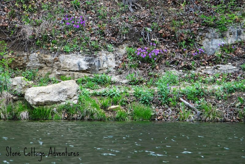 Black Bass Lake – photo 7