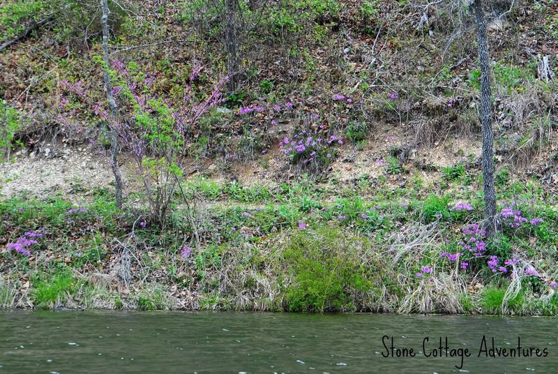 Black Bass Lake – photo 9