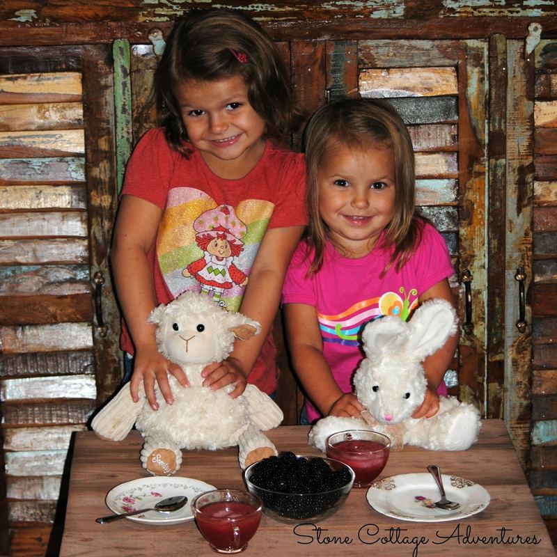 Blackberry Lemonade for Tea Parties β photo 1
