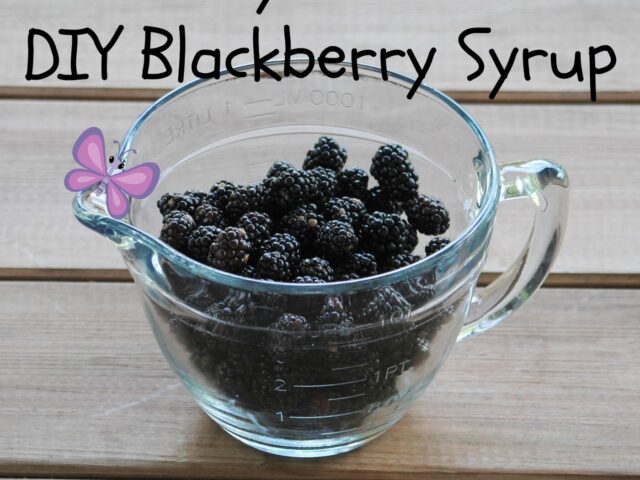 DIY Blackberry Syrup, Mostly Seedless